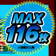 MAX116